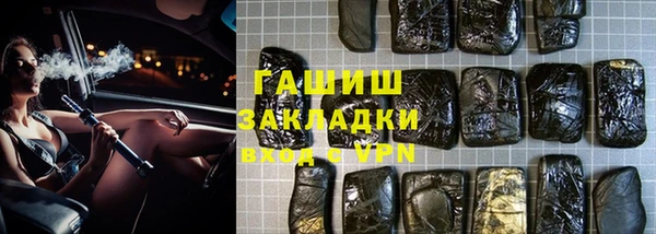 ГАЛЛЮЦИНОГЕННЫЕ ГРИБЫ Дмитриев