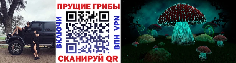 Галлюциногенные грибы мицелий  купить наркотики цена  Тосно 