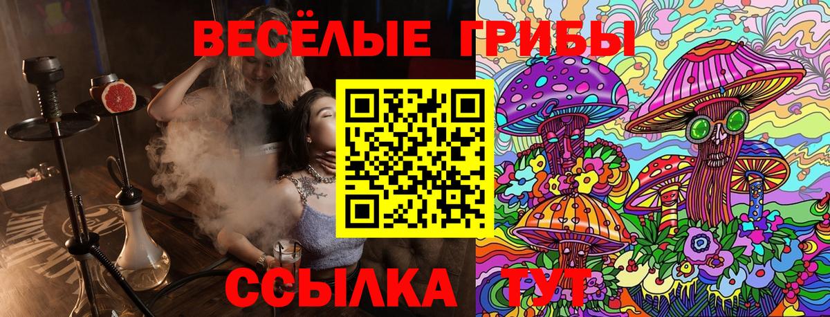 Галлюциногенные грибы Psilocybe  Тосно 