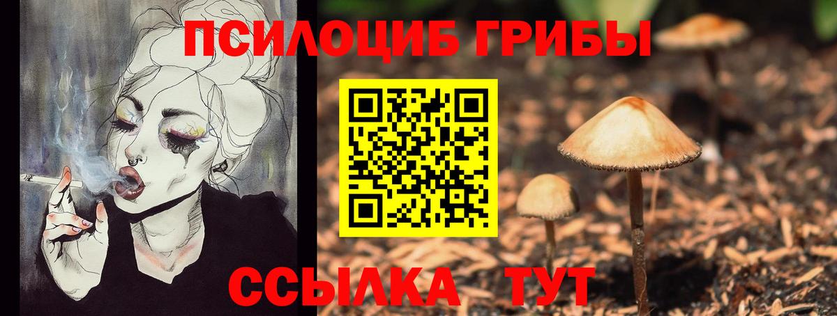 Галлюциногенные грибы Psilocybe Тосно