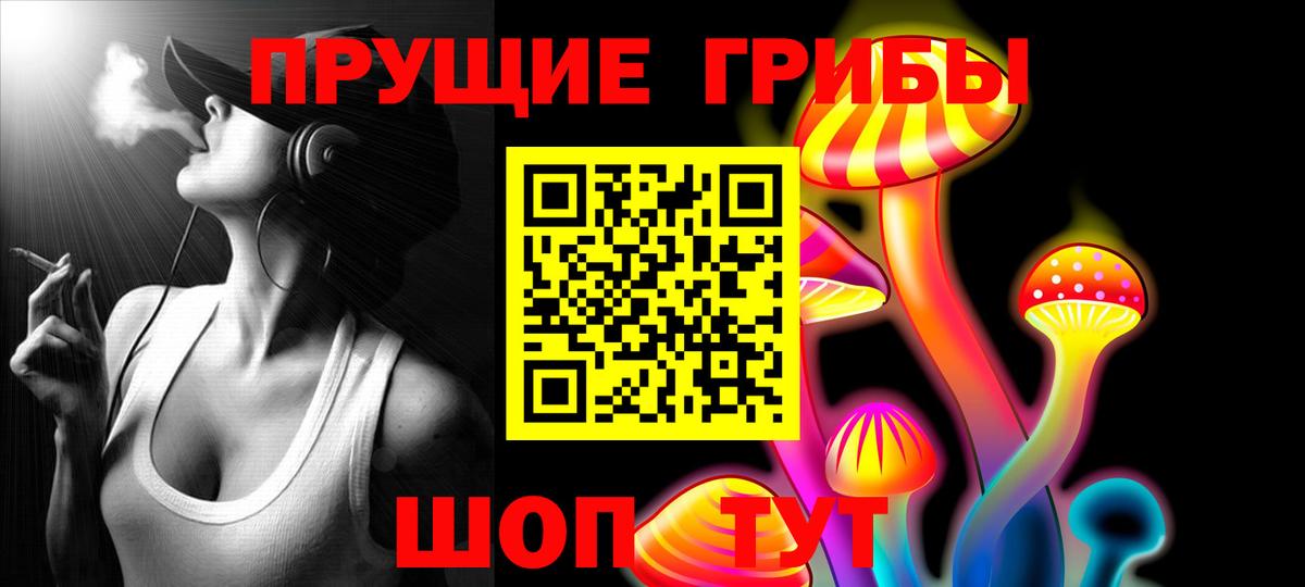 Тосно  Галлюциногенные грибы Cubensis  Вход с VPN  где купить наркотик  Галлюциногенные грибы MAGIC MUSHROOMS 